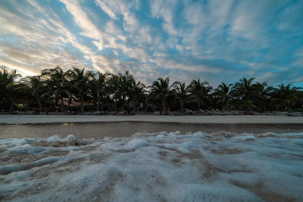 Selina Tulum Hotel